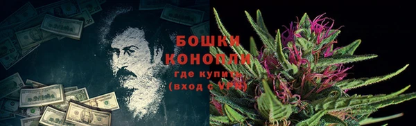 бутират Пересвет
