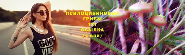 дмт Пестово