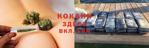 дмт Пестово