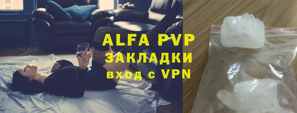 дмт Пестово