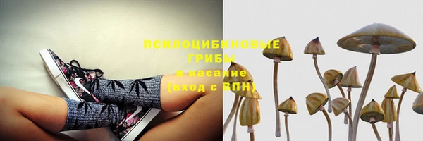 дмт Пестово