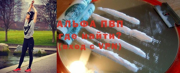дмт Пестово