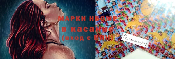 дмт Пестово