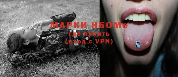 дмт Пестово