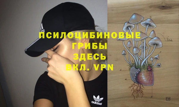 бутират Пересвет