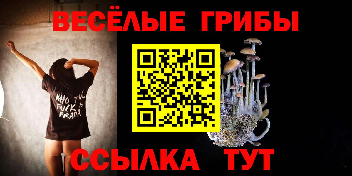 Галлюциногенные грибы MAGIC MUSHROOMS  Вход с VPN  Барнаул 