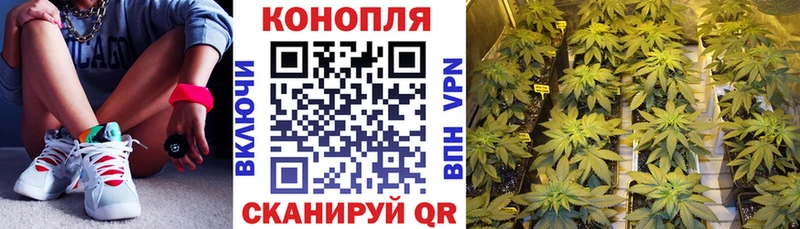Канабис THC 21% Барнаул